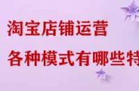 淘寶店鋪運營各種模式有哪些特點？