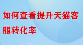 天貓代運營