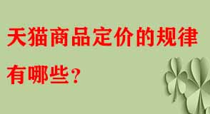 天貓代運營