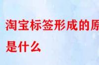 怎樣得到精準流量？淘寶標簽形成的原因是什么？