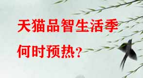 天貓代運營