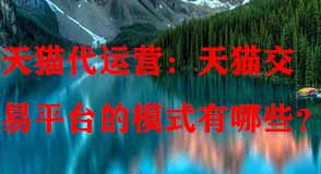 天貓代運(yùn)營
