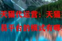 天貓代運(yùn)營(yíng)：天貓交易平臺(tái)的模式有哪些？