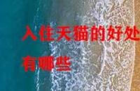 入住天貓的好處有哪些？它的優(yōu)勢在哪里？