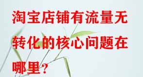 電商代運(yùn)營