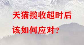 天貓代運營