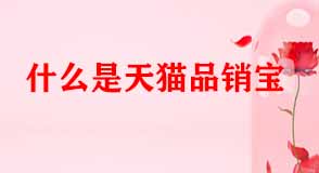 天貓代運(yùn)營