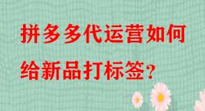 拼多多代運(yùn)營(yíng)