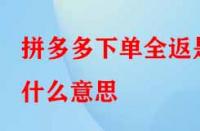 拼多多下單全返是什么意思？具體是如何操作的？
