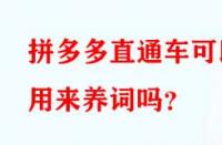 拼多多直通車可以用來養詞嗎？