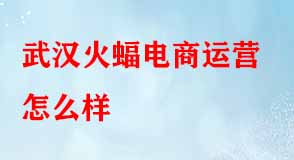 武漢火蝠電商運營怎么樣