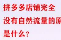 拼多多店鋪完全沒有自然流量的原因是什么？