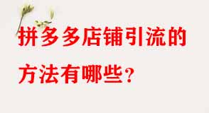 拼多多代運營