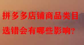 拼多多代運營
