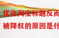 優(yōu)化淘寶標(biāo)題反而被降權(quán)的原因是什么？