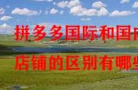 拼多多國際和國內店鋪的區別有哪些？