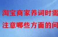 淘寶商家養詞時需注意哪些方面的問題？
