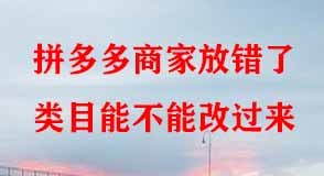 拼多多代運營
