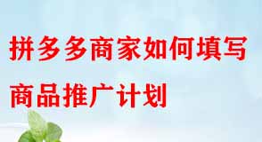 拼多多代運營