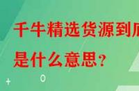 千牛精選貨源到底是什么意思？