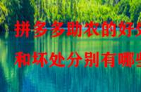 拼多多助農的好處和壞處分別有哪些？