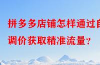 拼多多店鋪怎樣通過(guò)自動(dòng)調(diào)價(jià)獲取精準(zhǔn)流量？
