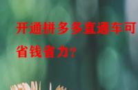 開通拼多多直通車可更省錢省力？