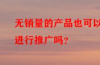 無(wú)銷(xiāo)量的產(chǎn)品也可以進(jìn)行推廣嗎？
